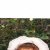 Ir a su p�gina Dorbit