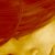 Ir a su p�gina Dorbit