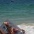 Ir a su p�gina Dorbit