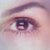 See