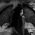 Ir a su p�gina Dorbit