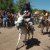 Viendo coleccin RALLY DE BURROS  en mina clavero cordoba ( 11 fotos )